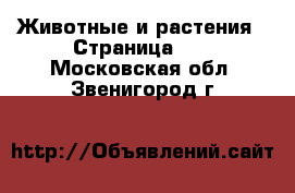  Животные и растения - Страница 12 . Московская обл.,Звенигород г.